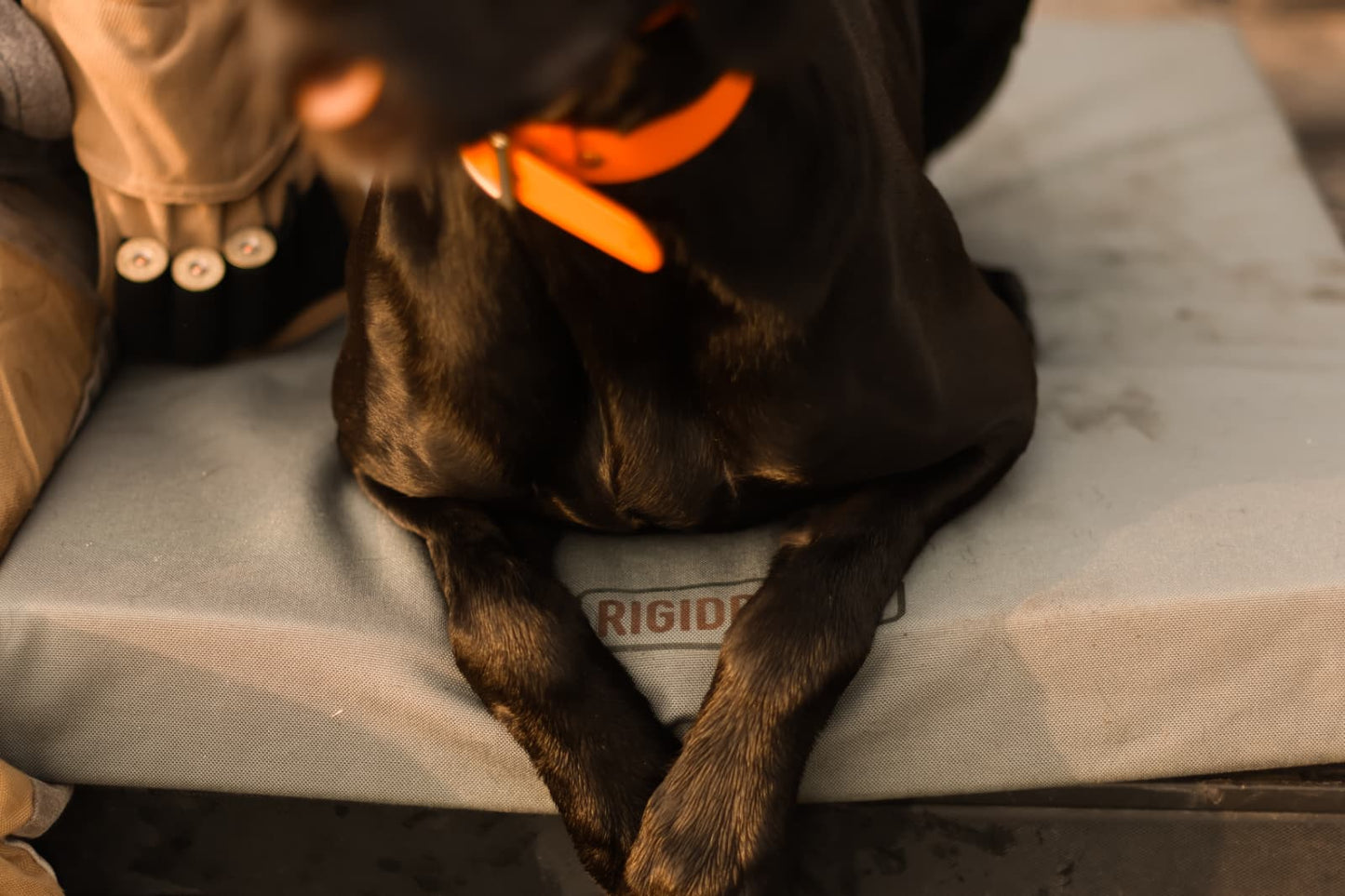 RigidRover Dog Bed - Grey